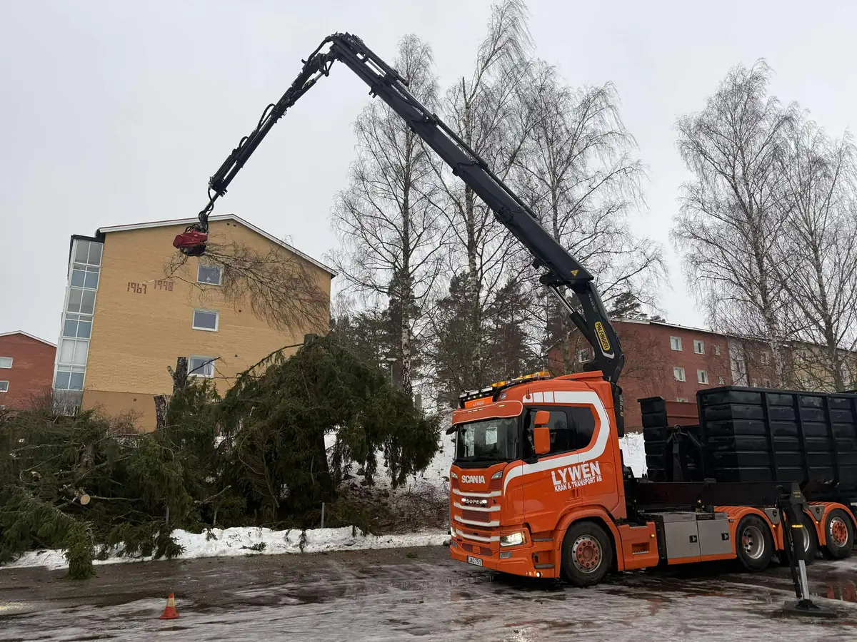 Lywén kranbil utför trädplockning vid flerbostadshus i Kisa - orange Scania med kransåg tar ner träd säkert
